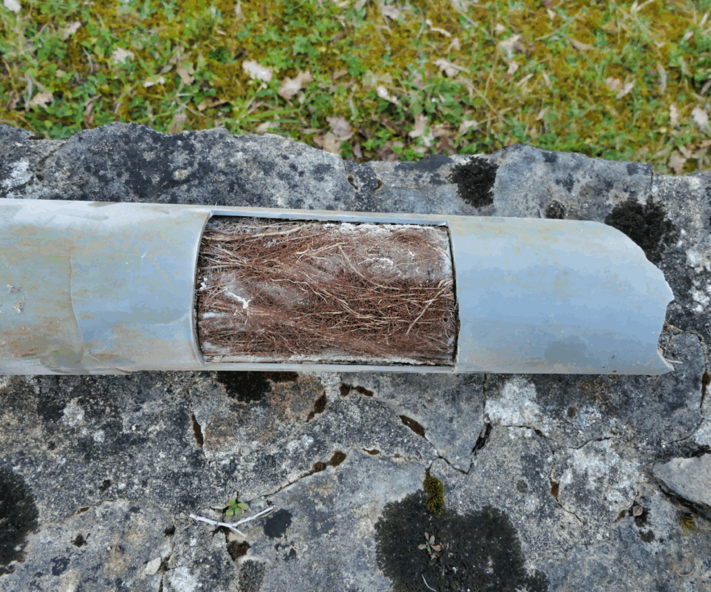 Ross Richdale unblock drains Christchurch